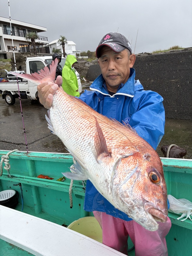 マダイ