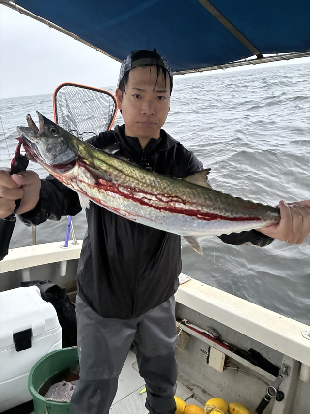 サワラ