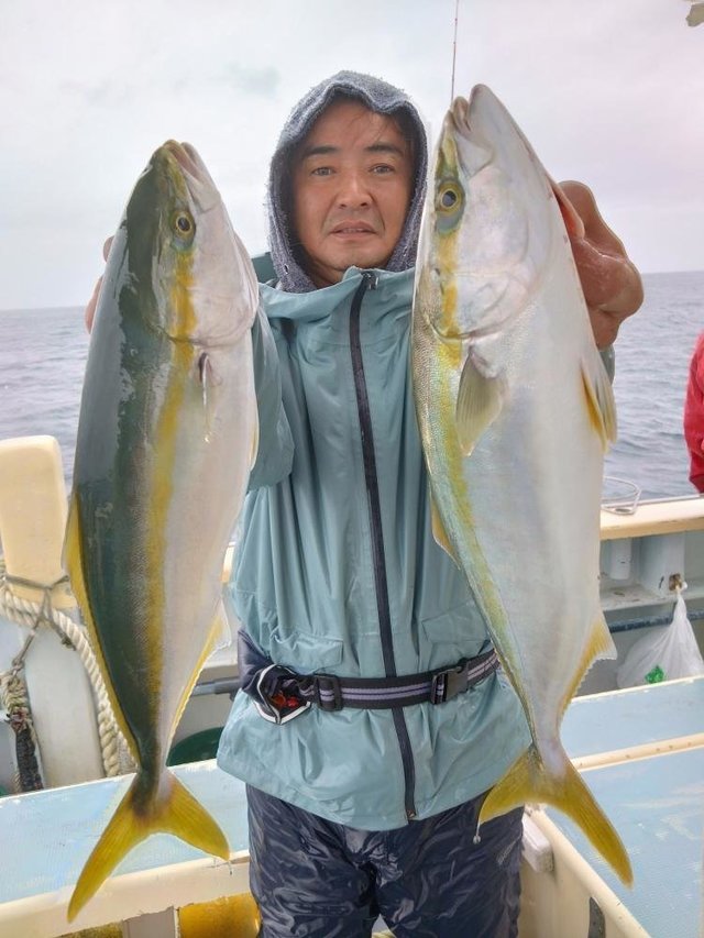 イナダ(ブリ)