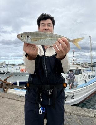 アジ(マアジ)