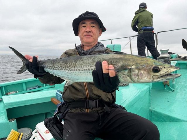 サワラ