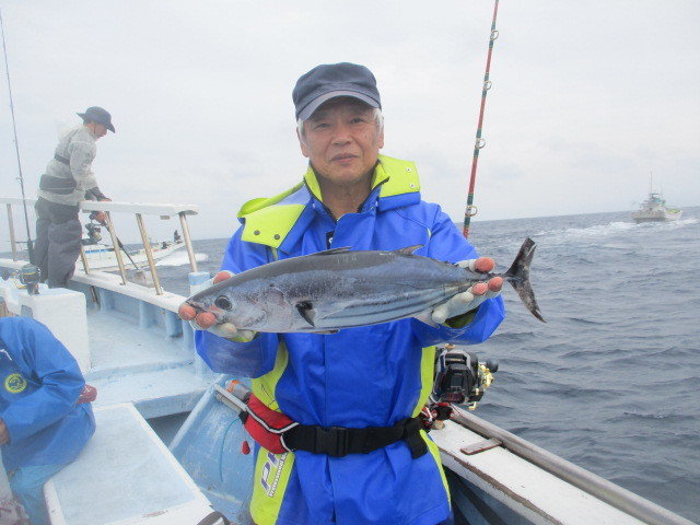 カツオ