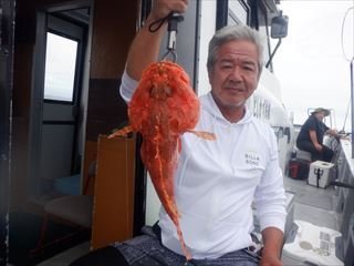 オニカサゴ