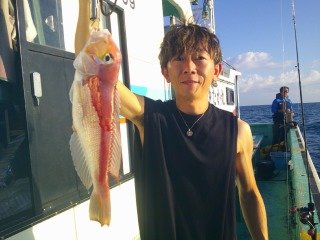 アマダイ(アカアマダイ)