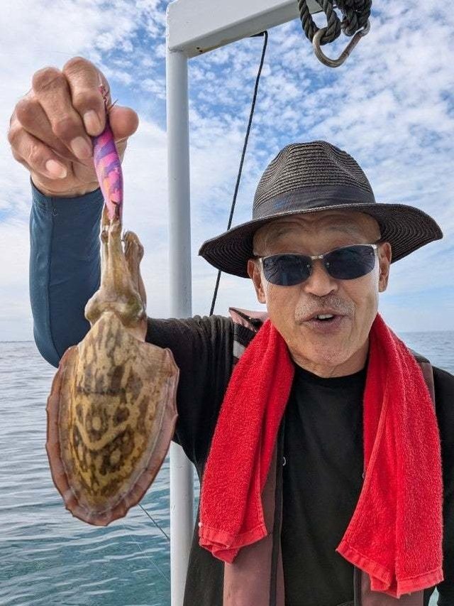 コウイカ
