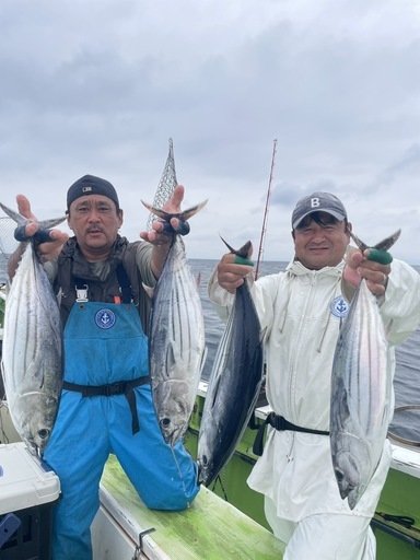 ホンガツオ(カツオ)