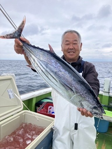 ホンガツオ(カツオ)
