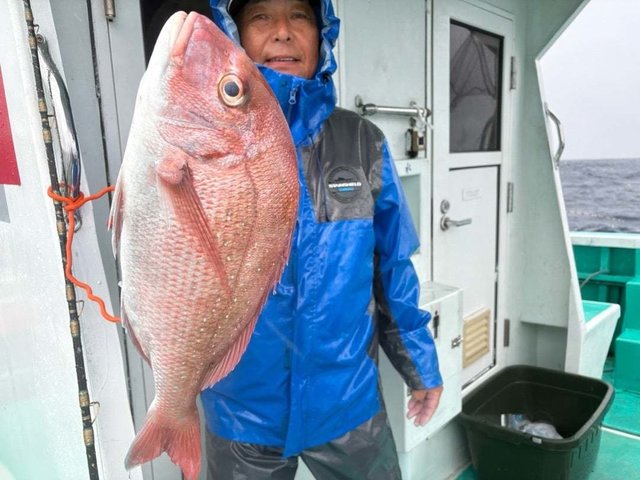 マダイ