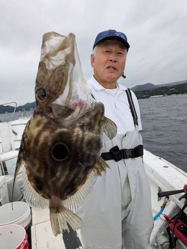 マトウダイ
