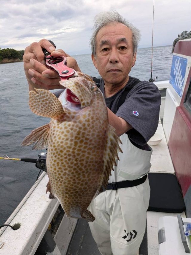 オオモンハタ