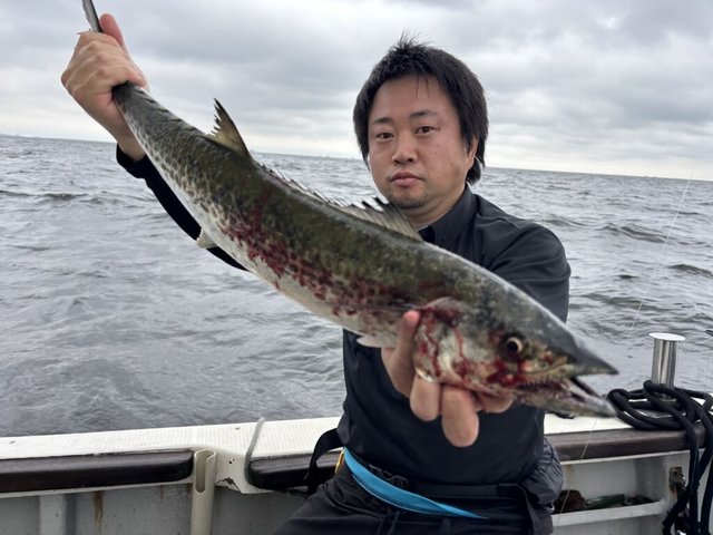 サワラ