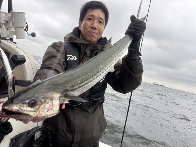 サワラ