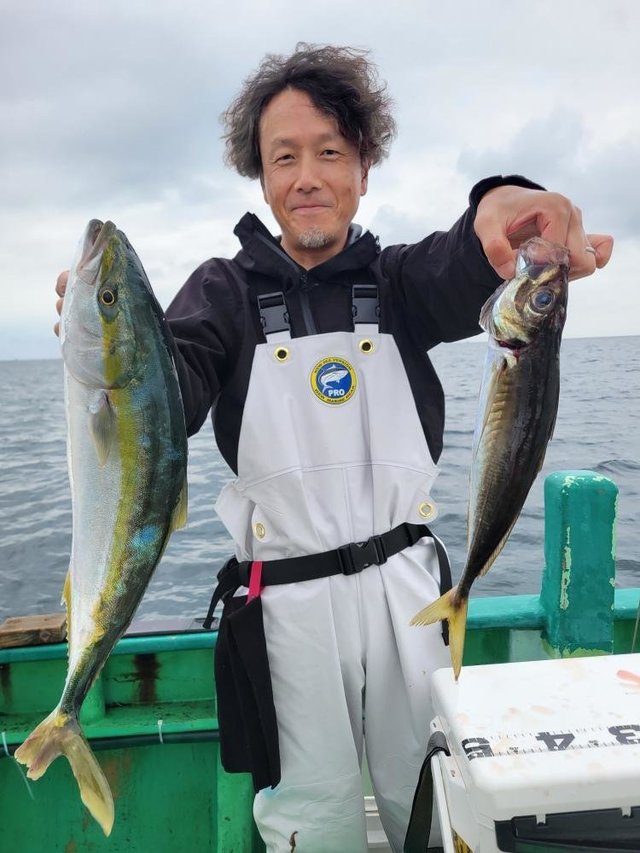アジ(マアジ)・イナダ(ブリ)