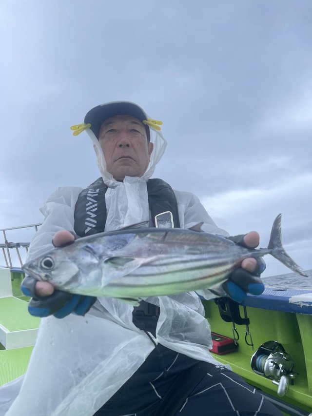 カツオ
