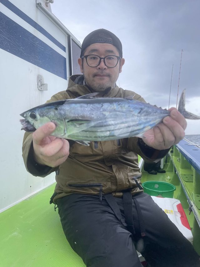 カツオ