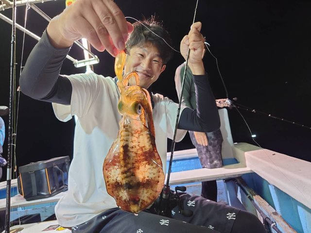 アオリイカ