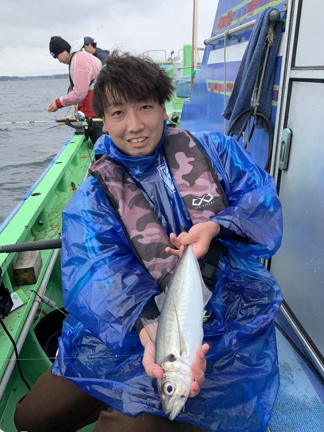 アジ(マアジ)