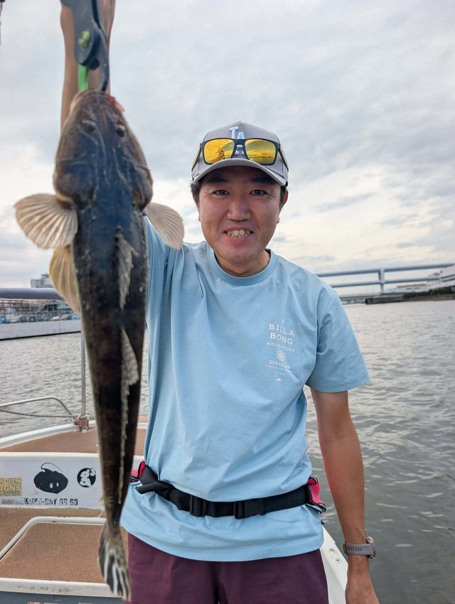 マゴチ