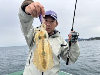 アオリイカ