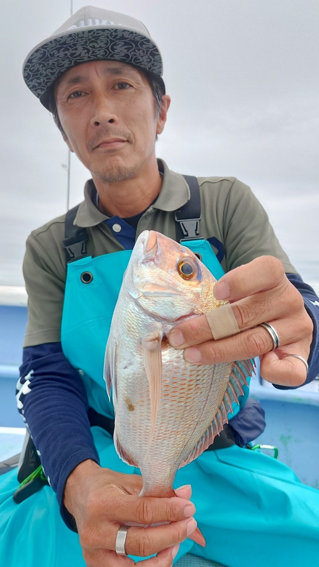 マダイ