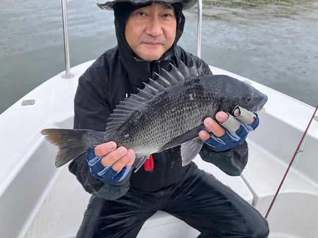 クロダイ