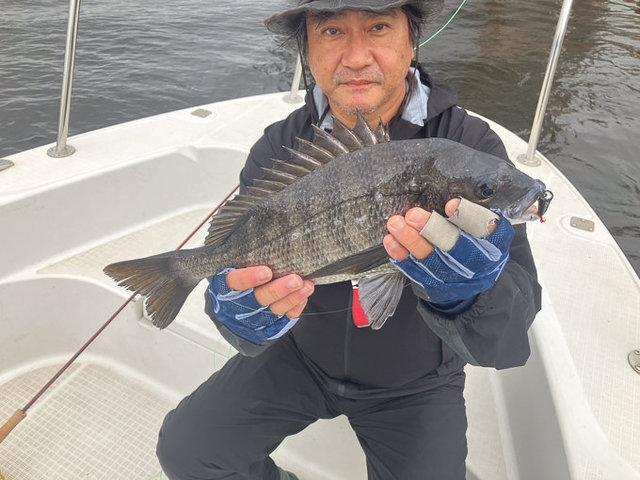 クロダイ