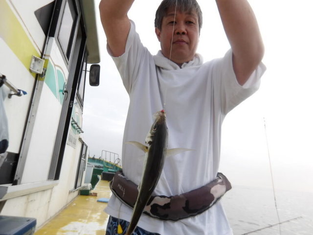 アジ(マアジ)