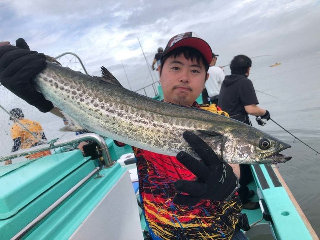 サワラ