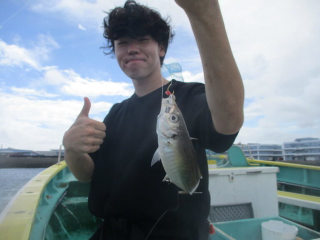 アジ(マアジ)