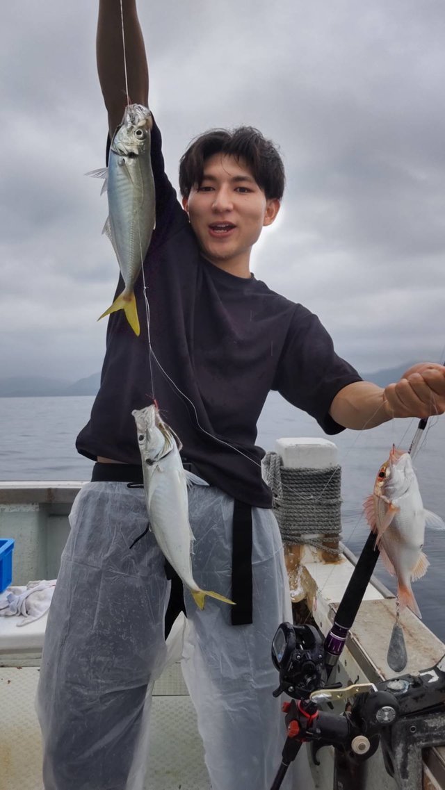 アジ(マアジ)