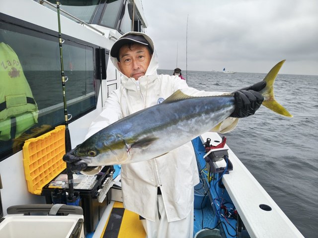 ワラサ(ブリ)