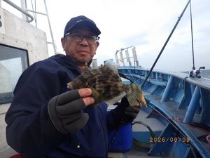 カワハギ