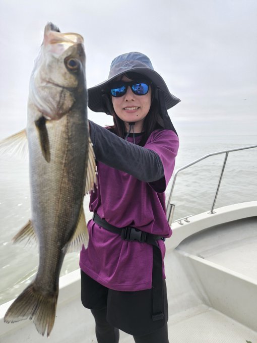 シーバス(スズキ)