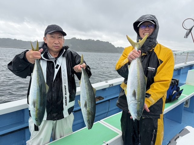 ワラサ(ブリ)