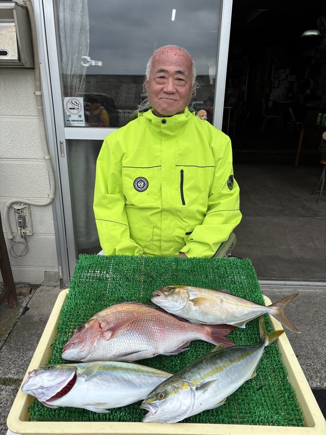 マダイ・イナダ(ブリ)・カンパチ