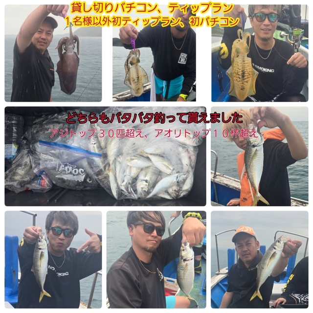 アジ(マアジ)・アオリイカ