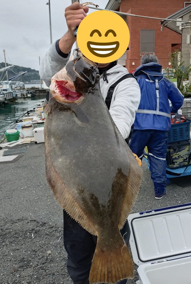 ヒラメ
