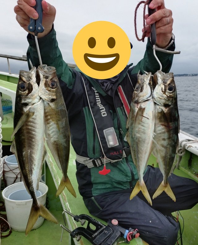 アジ(マアジ)