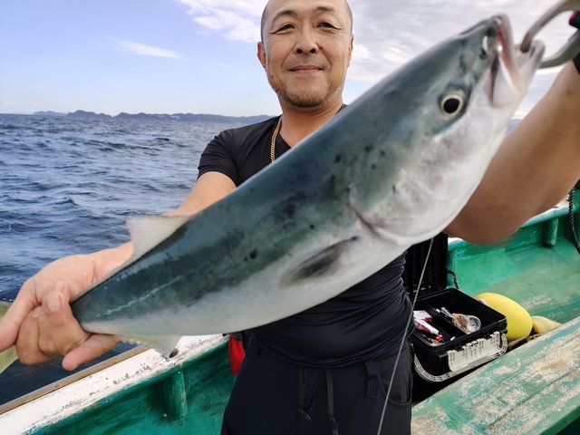 メジロ(ブリ)