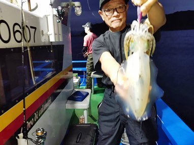 アオリイカ
