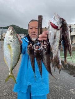 シマアジ・クロムツ