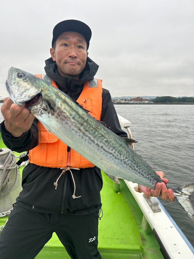 サワラ