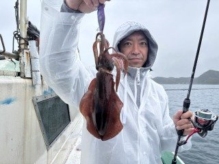 アオリイカ