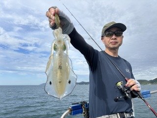 アオリイカ