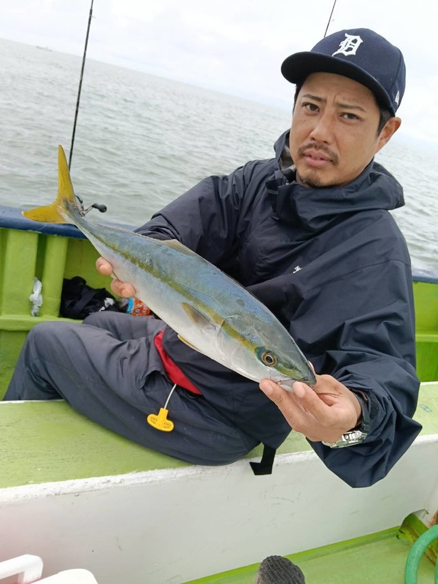 イナダ(ブリ)