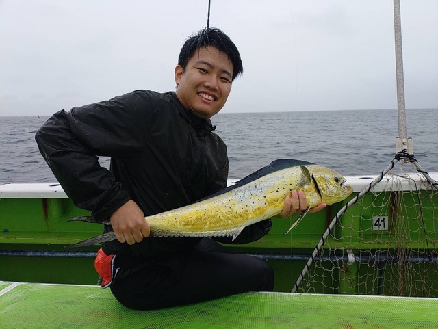 シイラ