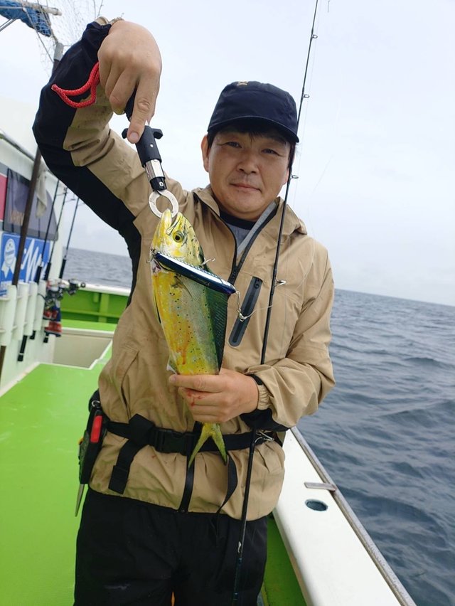 シイラ