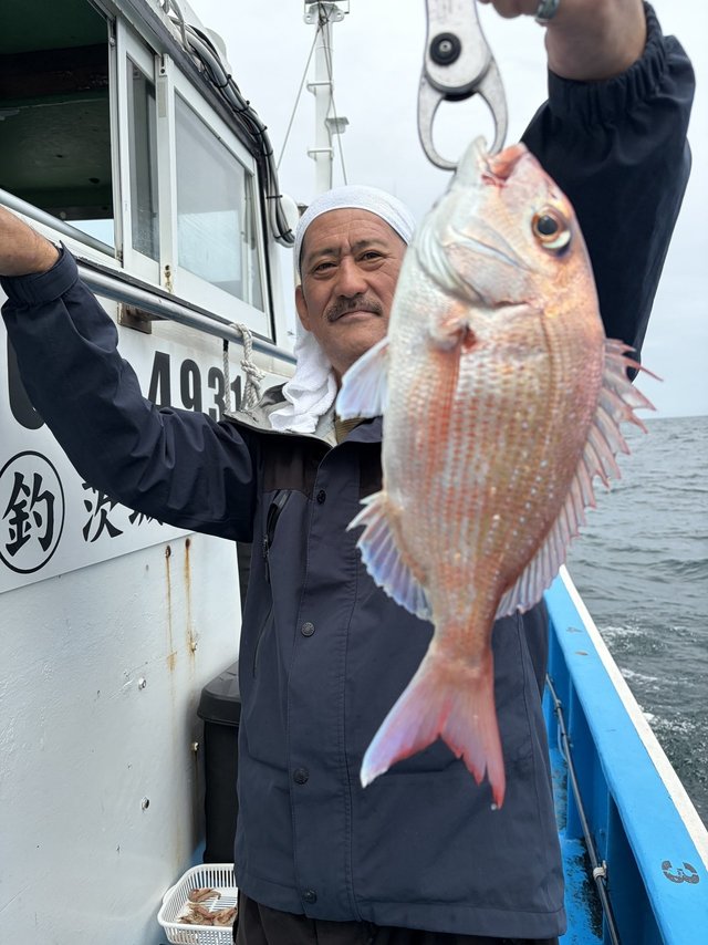 マダイ