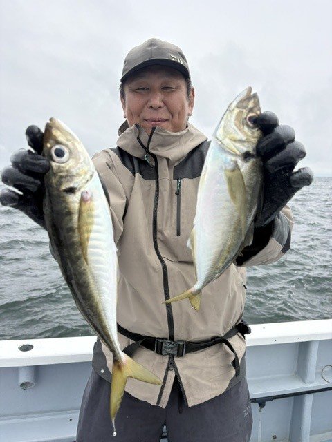 アジ(マアジ)