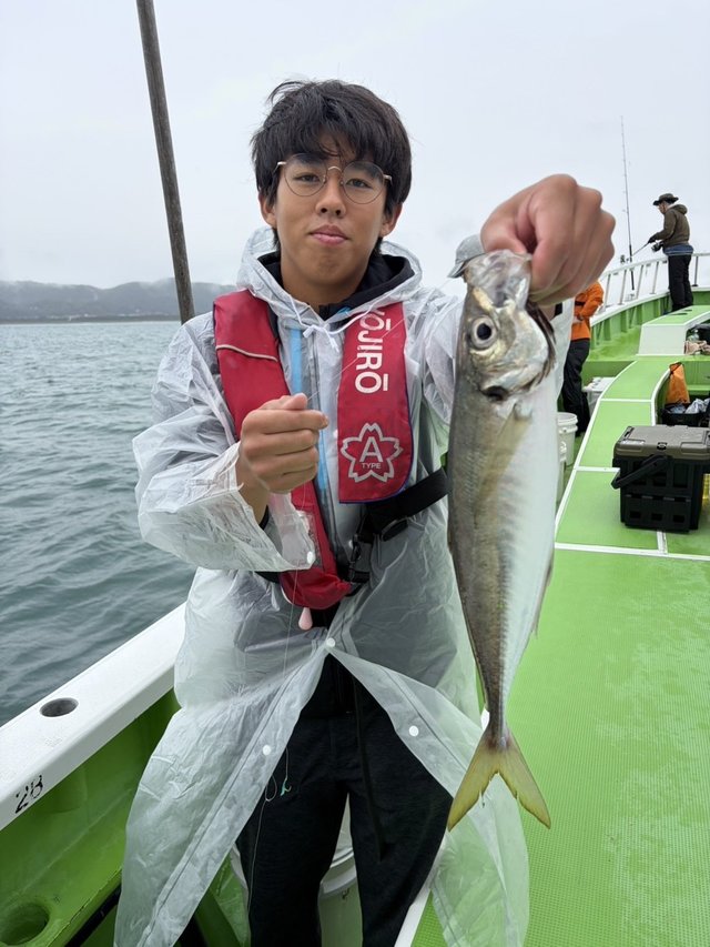 アジ(マアジ)